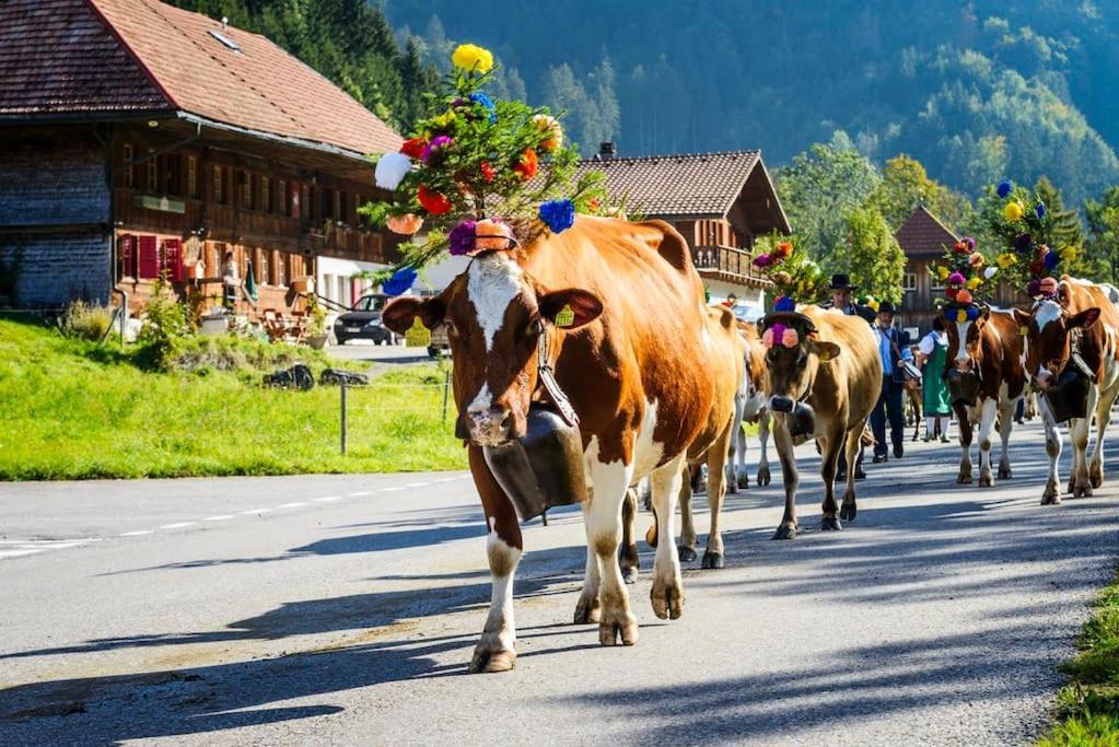 Confortable Chalet Avec Magnifique Vue En Gruyere. 沙尔梅 外观 照片