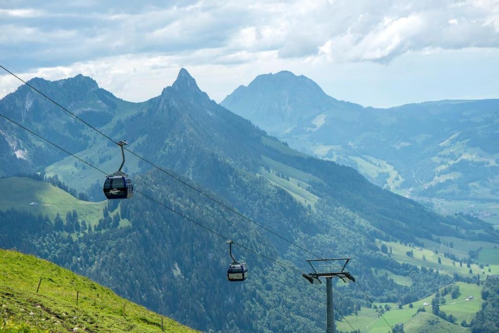 Confortable Chalet Avec Magnifique Vue En Gruyere. 沙尔梅 外观 照片