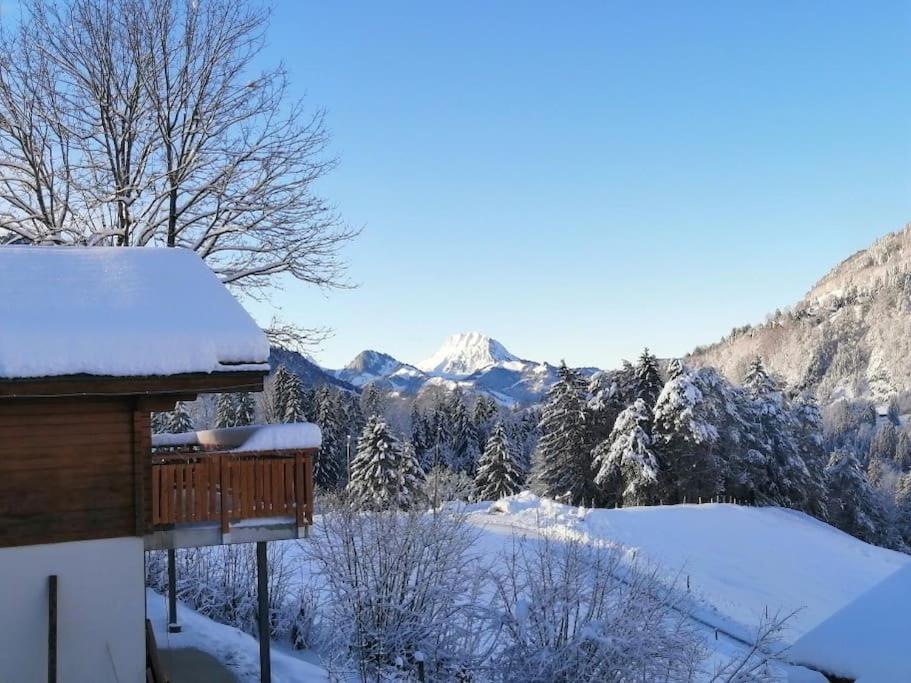 Confortable Chalet Avec Magnifique Vue En Gruyere. 沙尔梅 外观 照片
